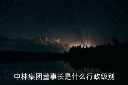 中林集團(tuán)董事長是什么行政級別