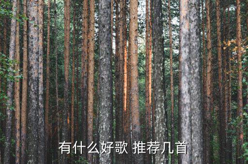 什么是終生董事，一個(gè)人懂事要多久