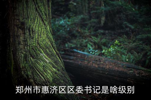 王洪章是什么級(jí)別，武警江西省總隊(duì)司令是什么級(jí)別