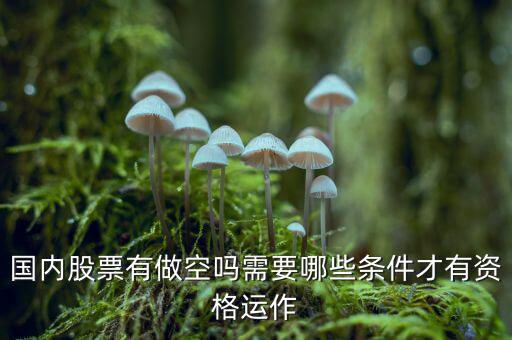 什么股票才可以做空，同花順里面有沒有可以做空的股票