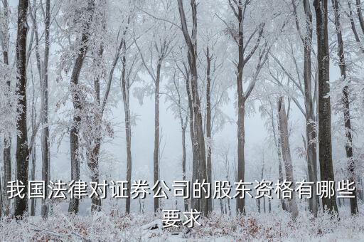 金融公司應(yīng)引入什么樣的股東，我國(guó)法律對(duì)證券公司的股東資格有哪些要求