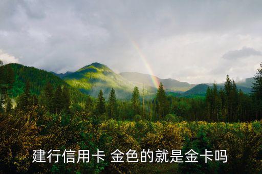 建設銀行信用卡什么卡種是金卡，我申請建設銀行的信用卡我申請的是金卡審核通過了上面寫的卡