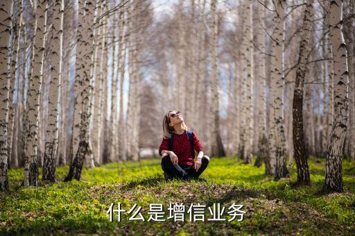 什么是增信服務(wù)，什么是增信業(yè)務(wù)