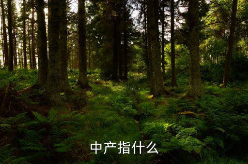 中產(chǎn)消費(fèi)什么，網(wǎng)易電商平臺(tái)帶給中產(chǎn)消費(fèi)者的核心價(jià)值是什么