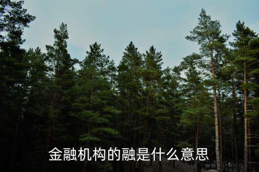 金融機構(gòu)的融是什么意思，融資中的融是什么意思