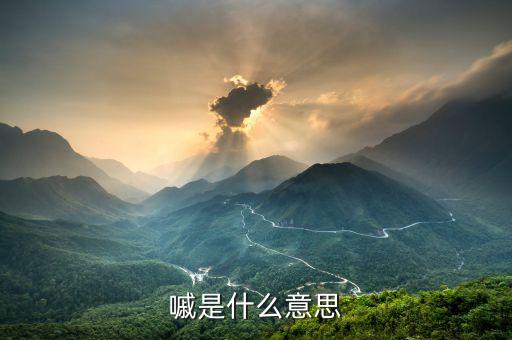 盤古智庫什么意思，一蓑煙雨任平生是什么意思