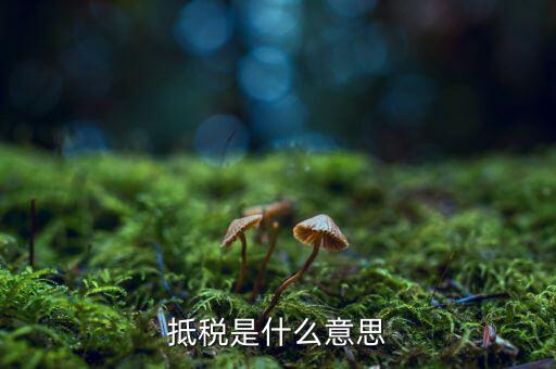 公司抵稅是什么意思，抵稅是什么意思