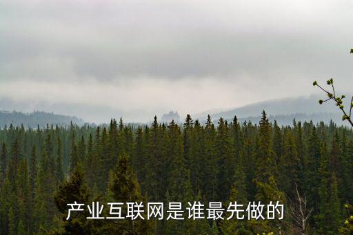 產(chǎn)業(yè)互聯(lián)網(wǎng)是什么龍頭，產(chǎn)業(yè)互聯(lián)網(wǎng)是誰最先做的