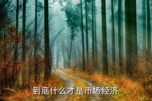 什么是市場經(jīng)濟(jì)，什么是市場經(jīng)濟(jì)