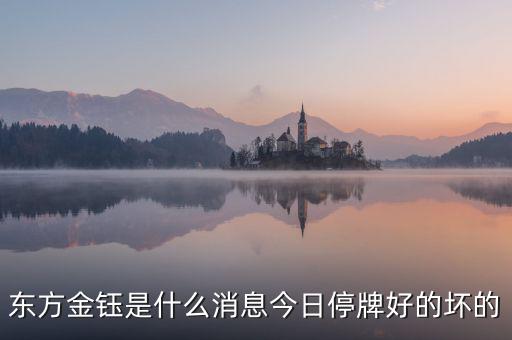 東方金鈺什么時(shí)候轉(zhuǎn)增，東方金鈺為什么增發(fā)