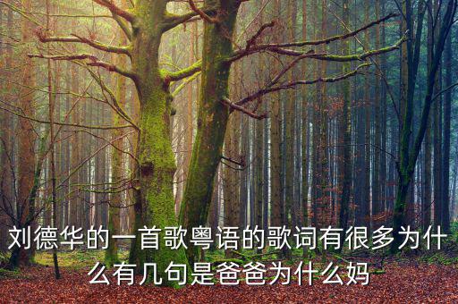 法為什么對is空襲，劉德華的一首歌粵語的歌詞有很多為什么有幾句是爸爸為什么媽