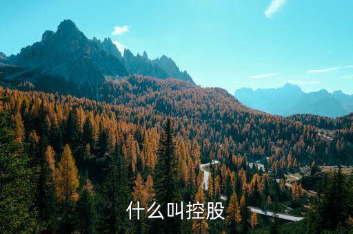 什么是控股關(guān)系，什么叫控股