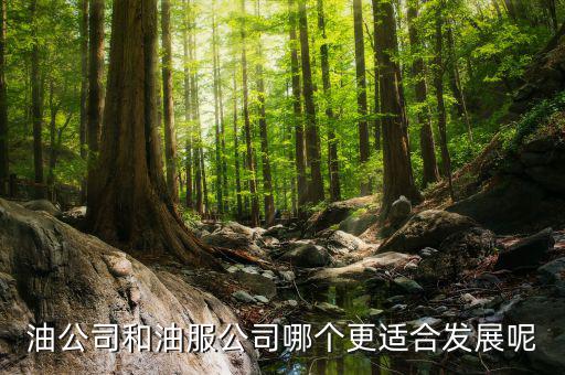 油服行業(yè)是什么，在油服公司做hr是做些什么