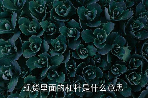 現貨里面的杠桿是什么意思