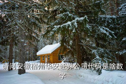 華安證券什么時(shí)間上市，請(qǐng)問(wèn)安徽宿州華安證券公司代碼是啥數(shù)字
