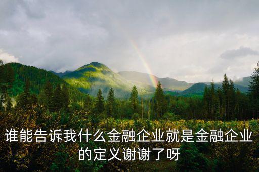 什么是金融企業(yè)，請問什么是金融企業(yè)呢或金融企業(yè)具體做什么負(fù)責(zé)什么啊