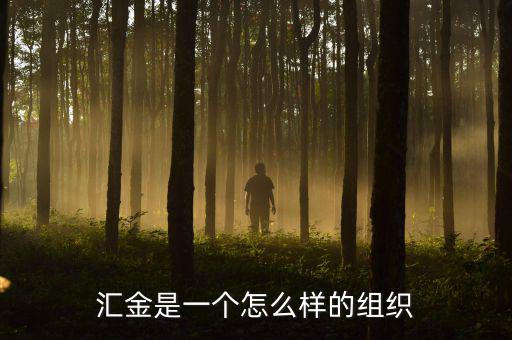 中央?yún)R金干什么的，匯金是一個(gè)怎么樣的組織