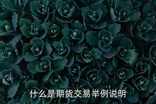 期權(quán)期貨是什么意思，期權(quán)與期貨是什么意思