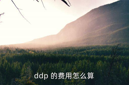 hmf是什么費(fèi)用，請(qǐng)問DEMDDF是什么費(fèi)用