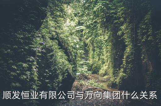 順發(fā)恒業(yè)是什么公司，順發(fā)恒業(yè)有限公司與萬(wàn)向集團(tuán)什么關(guān)系