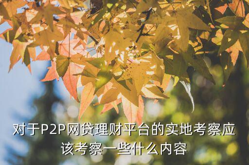 對于P2P網(wǎng)貸理財平臺的實地考察應(yīng)該考察一些什么內(nèi)容