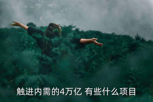 觸進(jìn)內(nèi)需的4萬億 有些什么項目