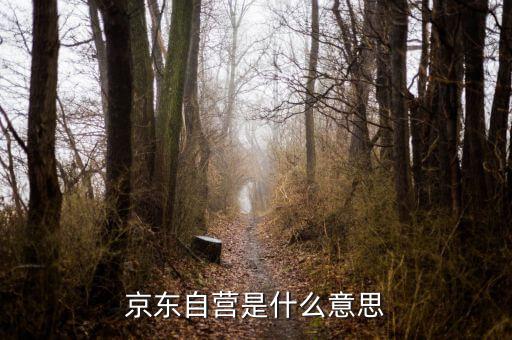 京東自營(yíng)旗艦店是什么意思，京東自營(yíng)店什么意思