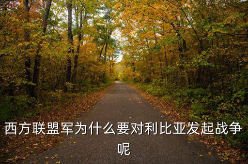 歐債危機(jī)下的法國(guó)為什么要發(fā)動(dòng)利比亞戰(zhàn)爭(zhēng)，西方聯(lián)盟軍為什么要對(duì)利比亞發(fā)起戰(zhàn)爭(zhēng)呢