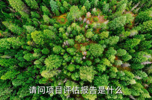請問項(xiàng)目評(píng)估報(bào)告是什么