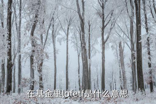 什么是etf，ETF 基金到底是什么東西
