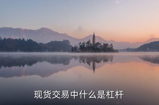 現貨交易中什么是杠桿