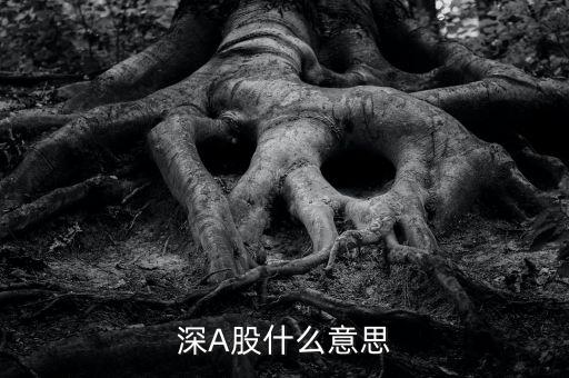深市a股是什么，深A(yù)股什么意思