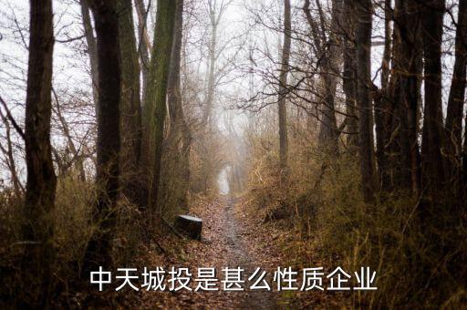 中天城投是什么概念，中天城投在這么些年的發(fā)展中涉及了哪些行業(yè)