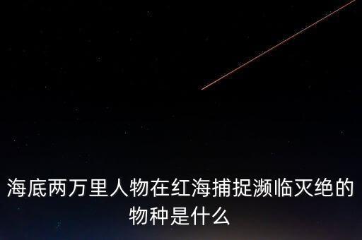 富智康和鴻海是什么關(guān)系，他的什么半島是在亞洲部分什么運(yùn)河溝通了紅海和地中海