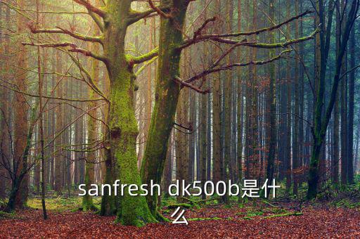 金鷹500b是什么，EOS 500B 是什么Rin的樂器