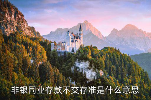 什么是非銀同業(yè)存款，什么是銀行同業(yè)存款