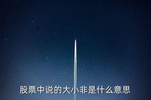 股市大小非是什么意思，股市中的大小非是指什么