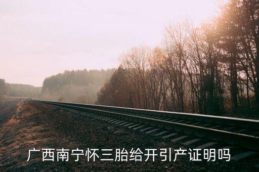 a廣西南寧生三胎有什么政策，2014年廣西人均收入2595元超生三胎罰款是多少錢