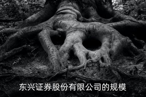 東興證券為什么是龍頭，東興證券這家證券公司怎么樣