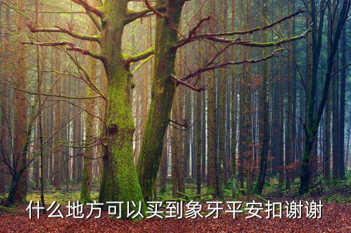 在日本什么地方買象牙制品，什么地方有批發(fā)象牙飾品的