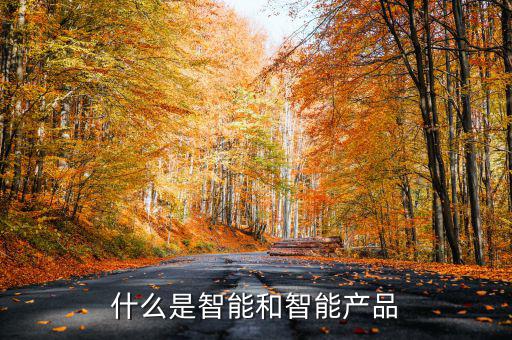 什么是智能產(chǎn)品，智能產(chǎn)品數(shù)碼產(chǎn)品電子產(chǎn)品它們有什么區(qū)別