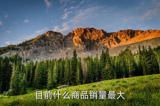 什么消費品最大市場，目前什么商品銷量最大