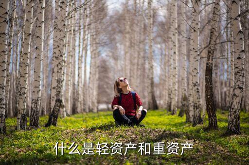 重資產(chǎn)模式是什么，什么是輕資產(chǎn)和重資產(chǎn)