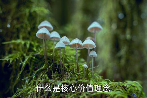 什么是核心價(jià)值理念，什么是核心價(jià)值理念