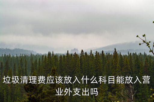 垃圾清理費(fèi)入什么科目，垃圾處理費(fèi)財(cái)務(wù)記哪個(gè)科目