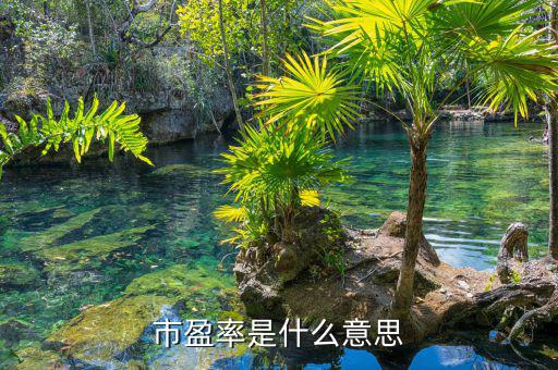 什么是市盈率，什么是市凈率和市盈率
