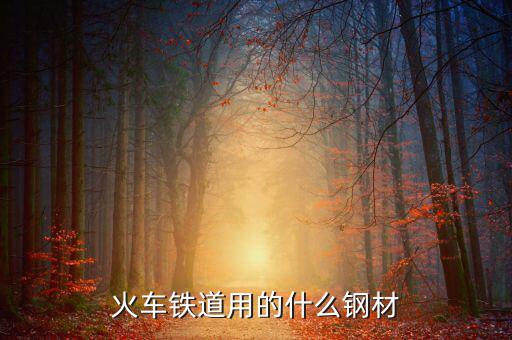 動車制造用的是什么鋼，火車鐵道用的什么鋼材