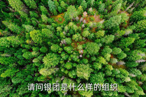 請(qǐng)問(wèn)銀團(tuán)是什么樣的組織