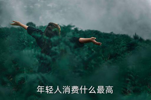 年輕人消費最多的什么，年輕人消費什么最高