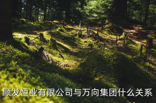 順發(fā)恒業(yè)有限公司與萬(wàn)向集團(tuán)什么關(guān)系